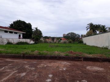 Alugar Terrenos / LoteTerreno em Ribeirão Preto. apenas R$ 550.000,00